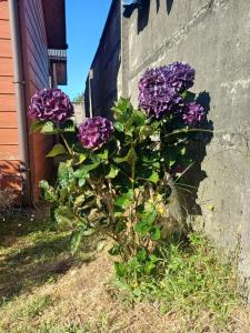 Gran casa cerca del Terminal de Buses