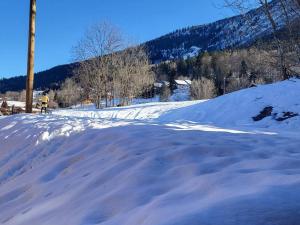 Appartements Appartement 3 Pieces, 6 Pers, Parking couvert - FR-1-291-1025 : photos des chambres