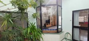 The roof garden - 马尔萨斯卡拉