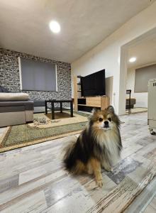 Apartman Kućica - Netflix, besplatan parking Smederevo