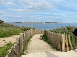 Appartements Pleine vue mer et plage : photos des chambres