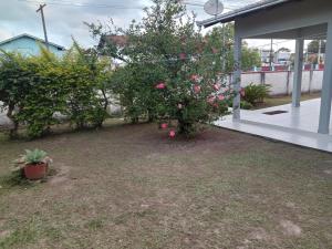Casa Balneário Picarras SC
