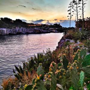 AltamareA Vacation home