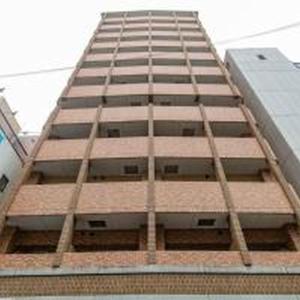 Yuki 1004 ユキ 1004