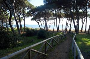 La Beccanina stilvolles Appartement Melograno