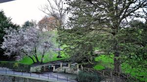 The Florence Guest House