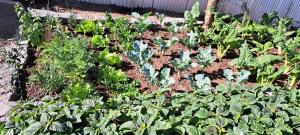 Wild Wood Cottages, Naivasha