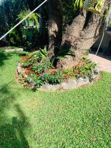 Tolimán Pequeña Bahía de SamJose - Apartamento