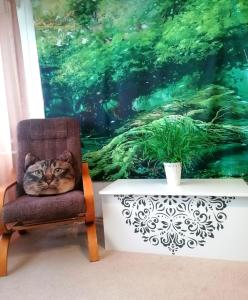 Retro CHARME CENTRUM obok szpitala