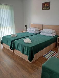 Pensiunea Crama Pivnițele Niculițel