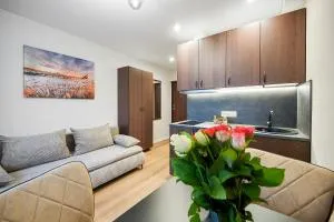 Stylish brown studio near the city center - Вильнюс
