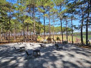 Homestay Vườn An Nhiên