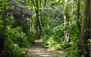 Les gîtes du Mesnil chambre deluxe