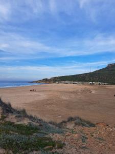 Luxury 3BR Villa with beach access