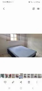 Ap, Franca sp - 里法伊纳