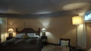 Hotels Prehistoric Lodge - Adult Only : Chambre Double