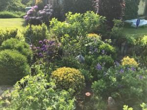 Ferienwohnung Klast F51