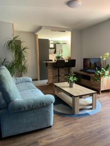 Appartements Chez Mathias 2 bedrooms 2 beds cribs garage : photos des chambres