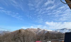 Wood cottage in Borjomi