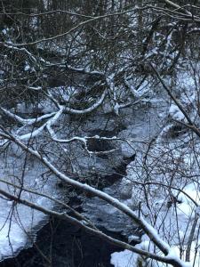 Haus Haberkorn im Smorland