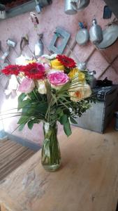 JOLI COCON AVEC TERRASSE ENTRE GIVERNY et LA ROCHE GUYON