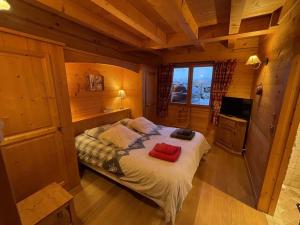 Confortable chalet 12 personnes avec WiFi et parking, près des pistes - FR-1-733-25