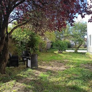 Appartements Gite Le Francais VERDUN 4 pers,climatise,grand garage,jardin 3 etoiles : photos des chambres