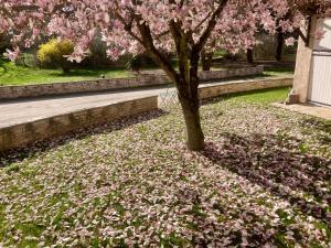 Appartements Logement type 2 dans un parc verdoyant : Appartement 1 Chambre