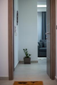 Marane luxury suites