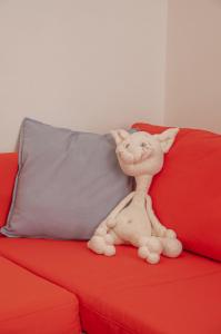 Cozy 1 bedroom apartment in walking distance to the municipal beach