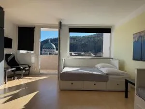 Domview Apartment - سانت بلاسين