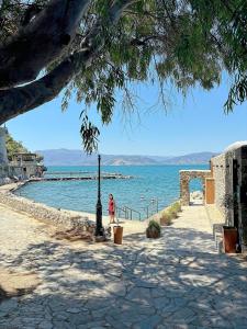 Spacious House with Cottage&Pool