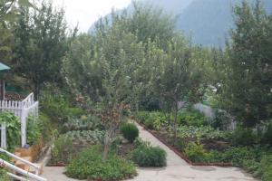 Enthralling Escapes Nature Stay and Trek