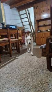 Casa tipo Chalet a 50m de la Playa en SantaTeresita