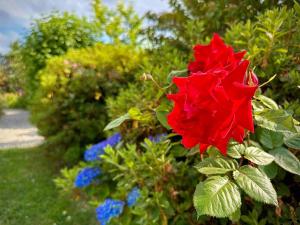 Maisons de vacances Maison Renovee Plomelin - Countryside and Beaches : photos des chambres