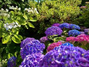 Maisons de vacances Maison Renovee Plomelin - Countryside and Beaches : photos des chambres