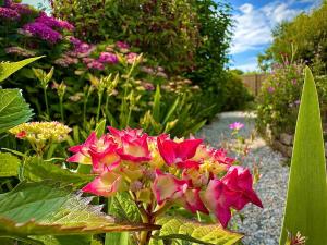 Maisons de vacances Maison Renovee Plomelin - Countryside and Beaches : photos des chambres