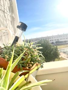 Apartamento Mirador Costa Golf