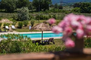 La Beccanina stilvolles Appartement Melograno