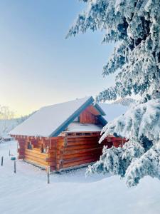 Wood log chalet