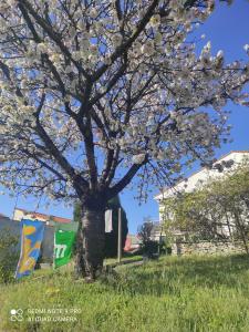 Maisons de vacances Maison calme a un 15min a pied de la plage : photos des chambres