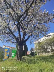 Maison calme à un 15min à pied de la plage - Saujon