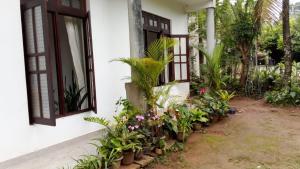 Bernard Homestay