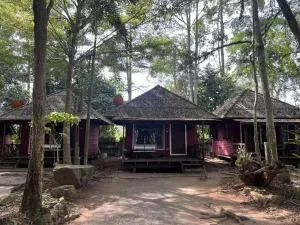Pang Mai Resort - Suan Lang