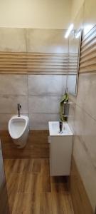 Sámoška - Krkonoše