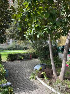 Vacation Apartments Garden