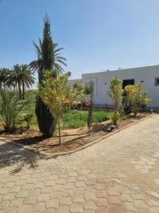 Al Boustane - Sous les Palmiers - Barqūq