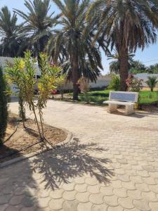 Al Boustane - Sous les Palmiers