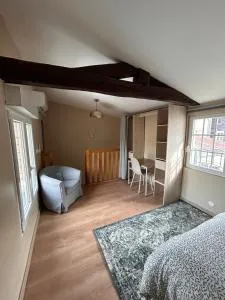 Appartement F1 duplex Hyper centre - 圣迪济耶