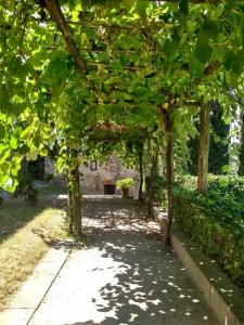Il Borgo di capannole, Il Giorgio